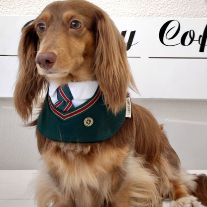 Ivy – Red & Green Preppy Dog Bandana | Stylish Occasion Wear