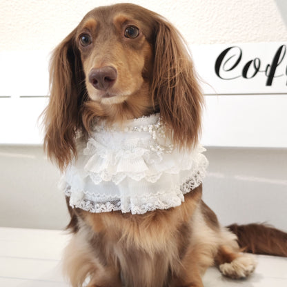 Juliette – Lace Dog Dress | Elegant Formal Style