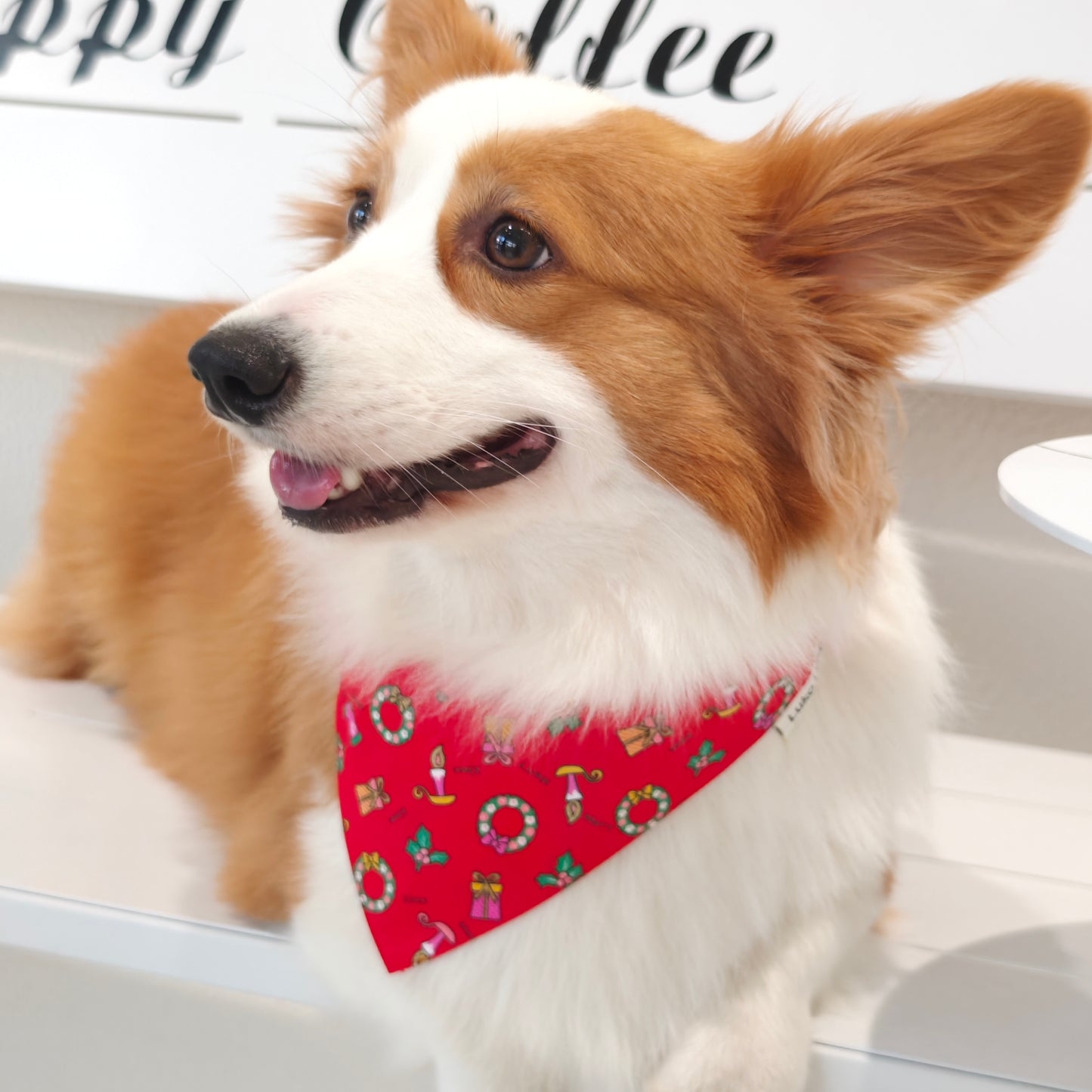 Avery – Christmas Bandana for Dogs | Holiday Style