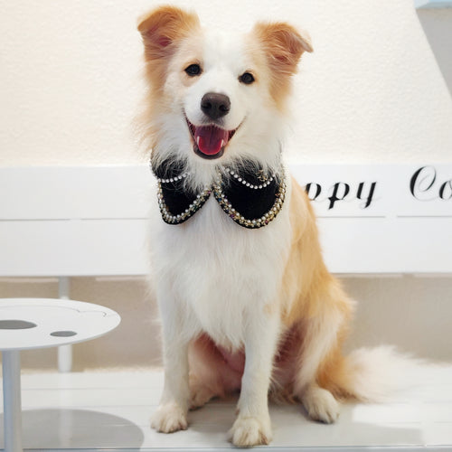 Jacqueline – Black & White Pearl Dog Jacket | Chic Formal Look