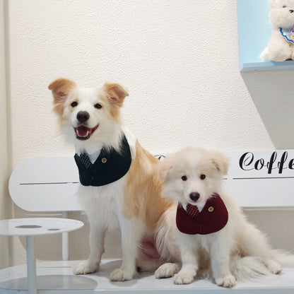 Windsor – Burgundy & Green Dog Suit | Elegant Outfit
