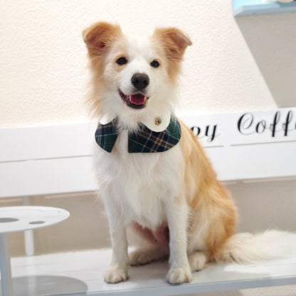 Evelyn - Green Plaid Dog Cape | Classic Elegance & Versatile Charm