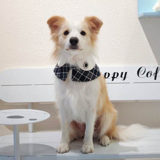 Sophie-French Elegance Cape Bandana with Optional Brooches