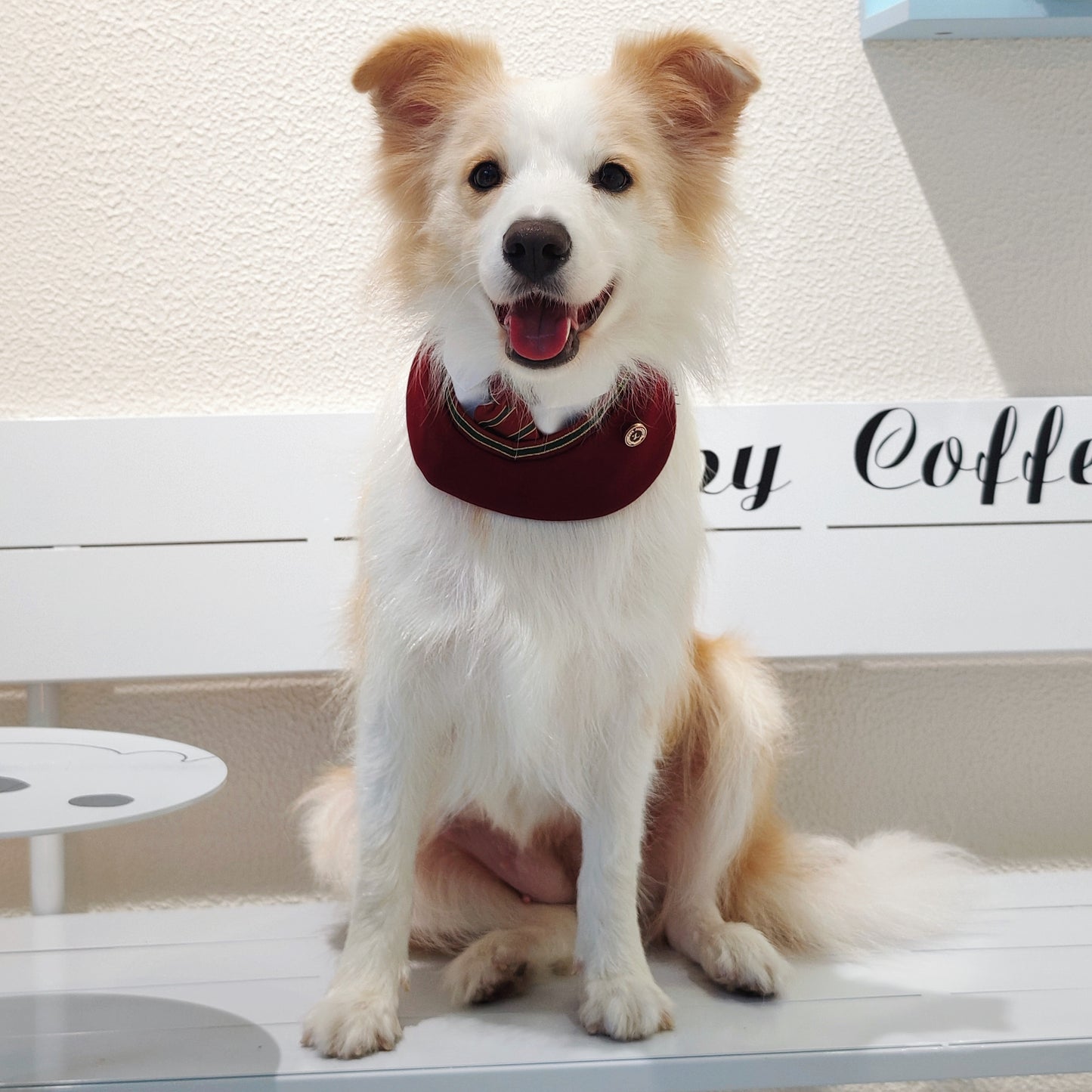 Ivy – Red & Green Preppy Dog Bandana | Stylish Occasion Wear