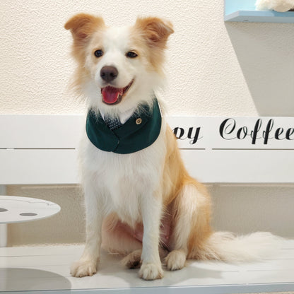 Windsor – Burgundy & Green Dog Suit | Elegant Outfit