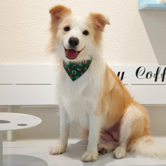 Avery – Christmas Bandana for Dogs | Holiday Style