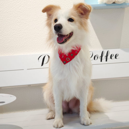 Avery – Christmas Bandana for Dogs | Holiday Style
