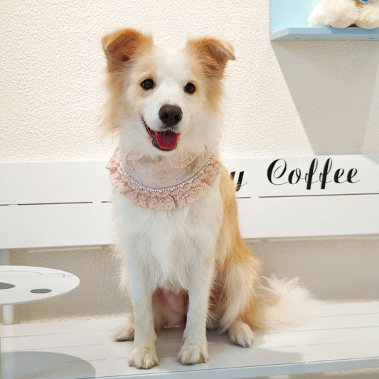 Ella –  Pink Lace Dress for Pets | Soft, Elegant, Comfortable