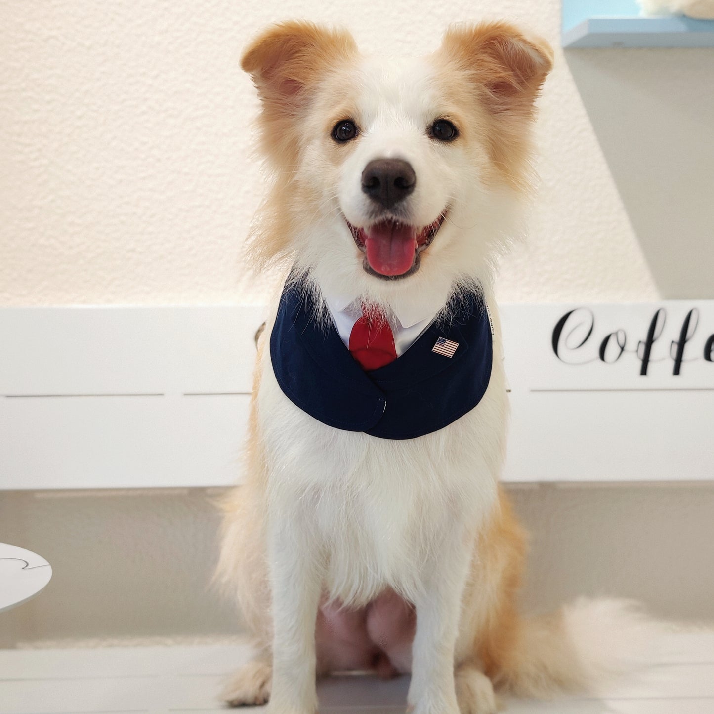 President – Red & Blue Tie Dog Suit | Formal Style