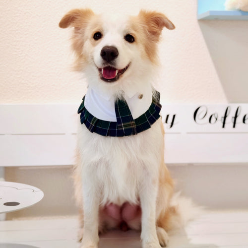 Emma – Schoolgirl Dog Outfit | Adorable Pet Uniform