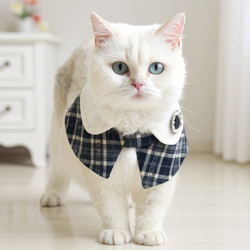 Sophie-French Elegance Cape Bandana with Optional Brooches