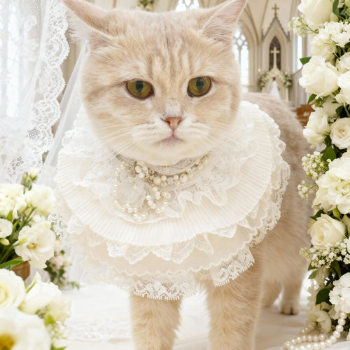 Juliette – Lace Dog Dress | Elegant Formal Style