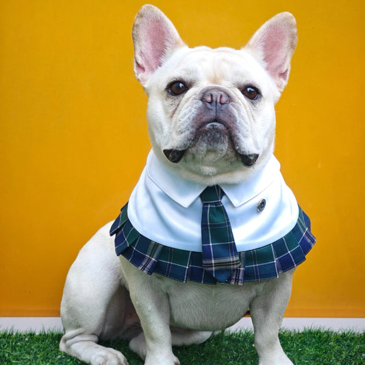 Emma – Schoolgirl Dog Outfit | Adorable Pet Uniform