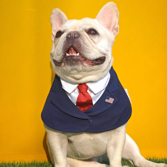 President – Red & Blue Tie Dog Suit | Formal Style