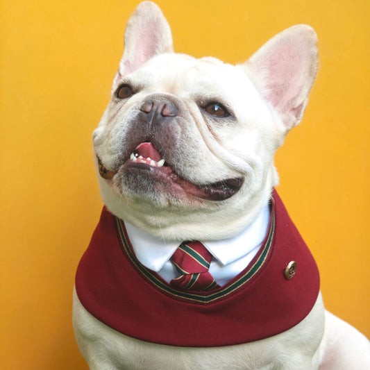 Ivy – Red & Green Preppy Dog Bandana | Stylish Occasion Wear