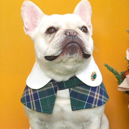 Evelyn - Green Plaid Dog Cape | Classic Elegance & Versatile Charm