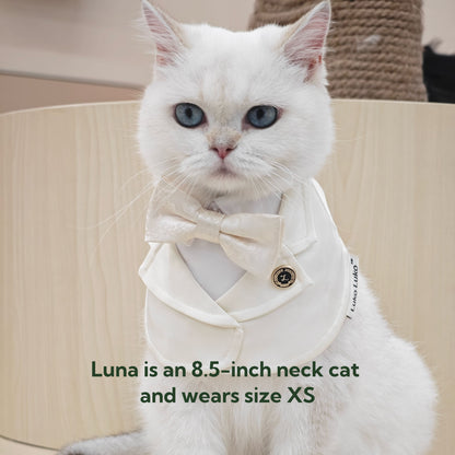 Oxford – Bowtie Suit for Dogs  | Elegant Formal Pet Outfit