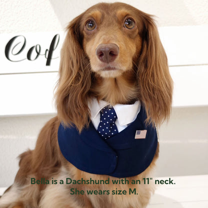 President – Red & Blue Tie Dog Suit | Formal Style