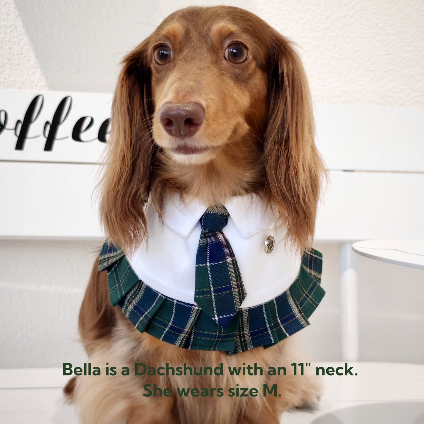 Emma – Schoolgirl Dog Outfit | Adorable Pet Uniform