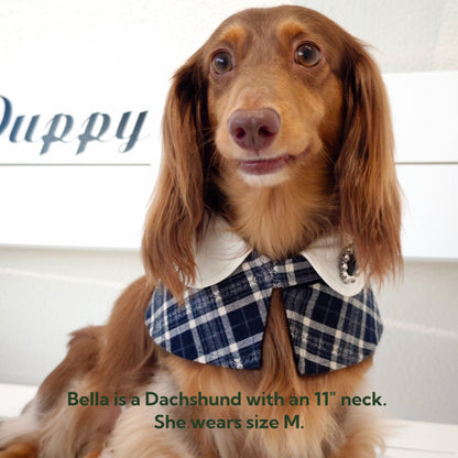 Sophie-French Elegance Cape Bandana with Optional Brooches