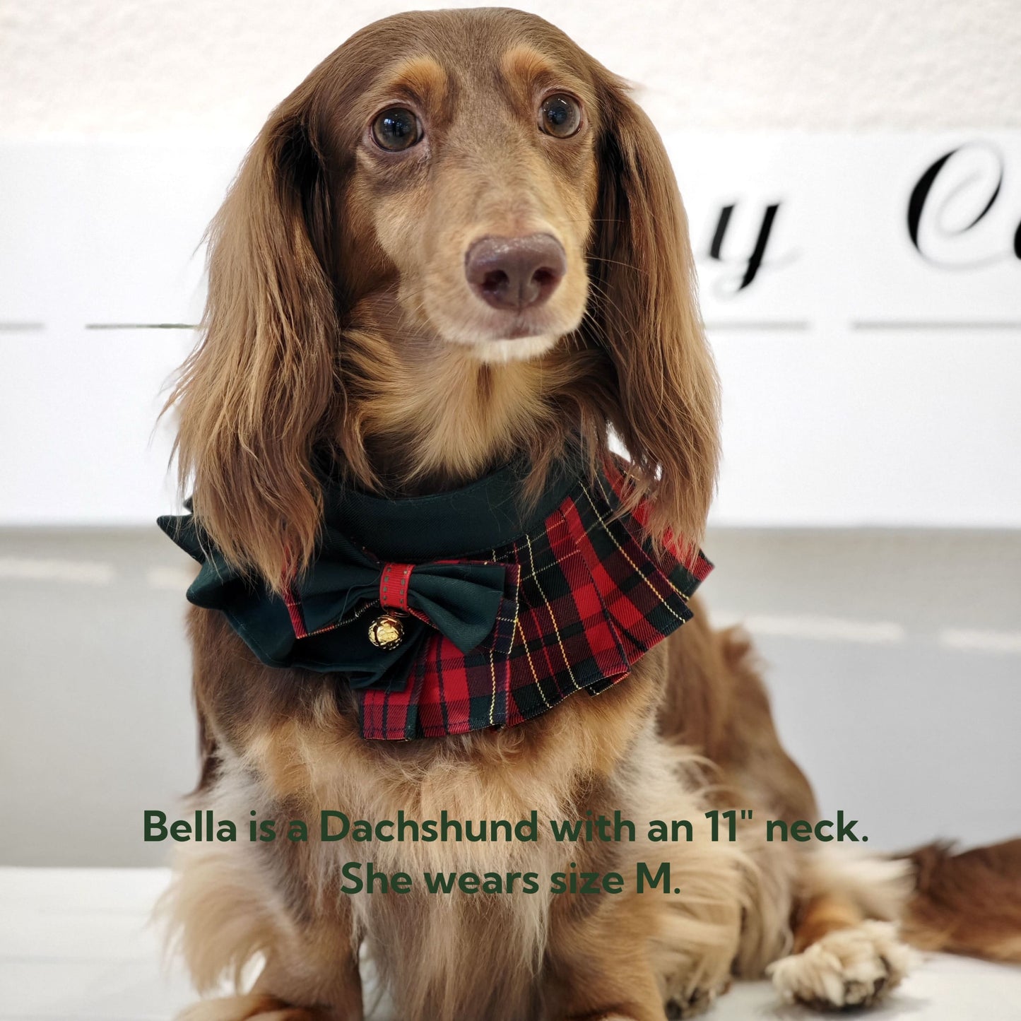 Noelle – Red & Green Plaid Dog Dress | Christmas Holiday Style