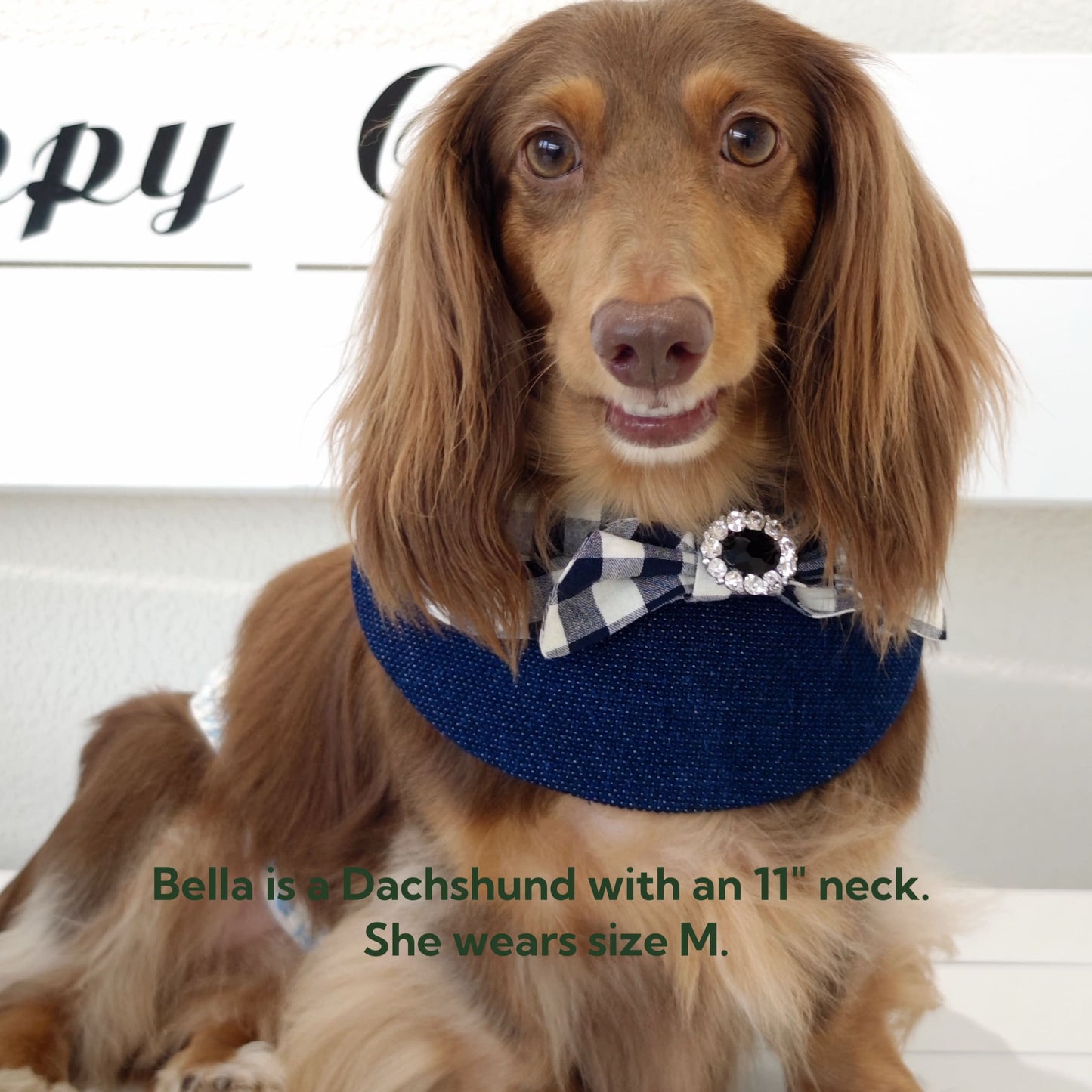 Jessie - Denim Bow Dog Cape | Western Charm & Stylish Design