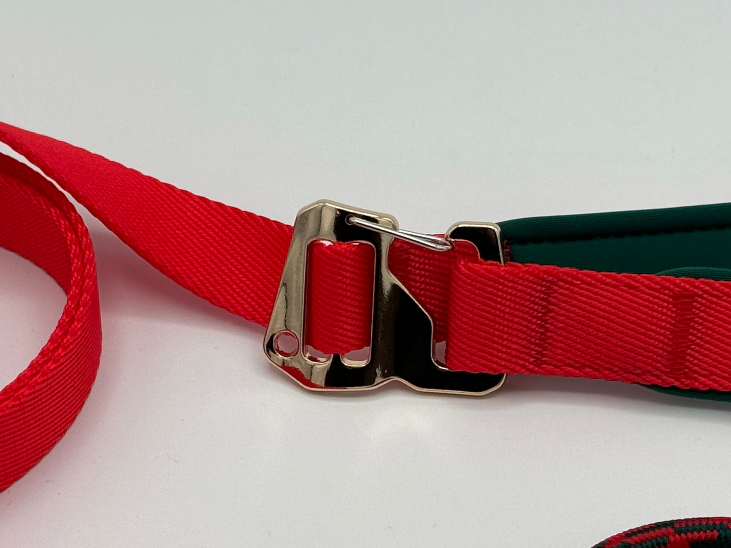 Harper – Premium Leash & Collar Set for Dogs & Cats | Durable & Adjustable