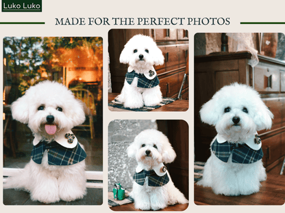 Evelyn - Green Plaid Dog Cape | Classic Elegance & Versatile Charm