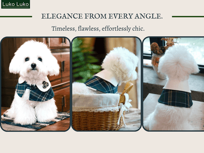 Evelyn - Green Plaid Dog Cape | Classic Elegance & Versatile Charm
