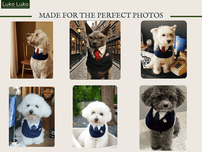 President – Red & Blue Tie Dog Suit | Formal Style
