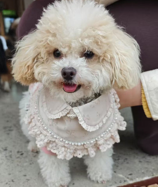Ella –  Pink Lace Dress for Pets | Soft, Elegant, Comfortable