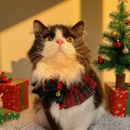 Noelle – Red & Green Plaid Dog Dress | Christmas Holiday Style