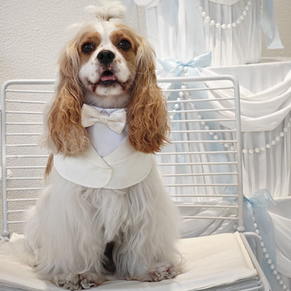 Oxford – Bowtie Suit for Dogs  | Elegant Formal Pet Outfit