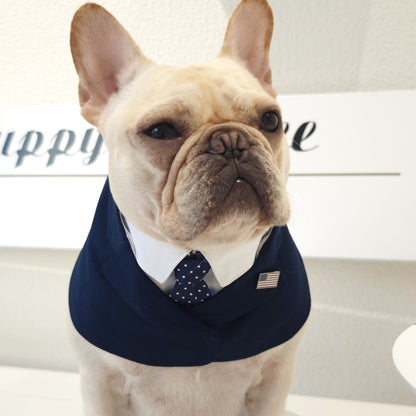 President – Red & Blue Tie Dog Suit | Formal Style