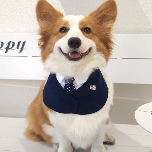 President – Red & Blue Tie Dog Suit | Formal Style