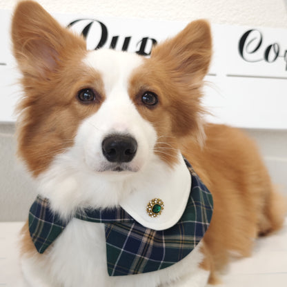 Evelyn - Green Plaid Dog Cape | Classic Elegance & Versatile Charm