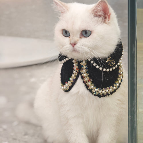 Jacqueline – Black & White Pearl Dog Jacket | Chic Formal Look