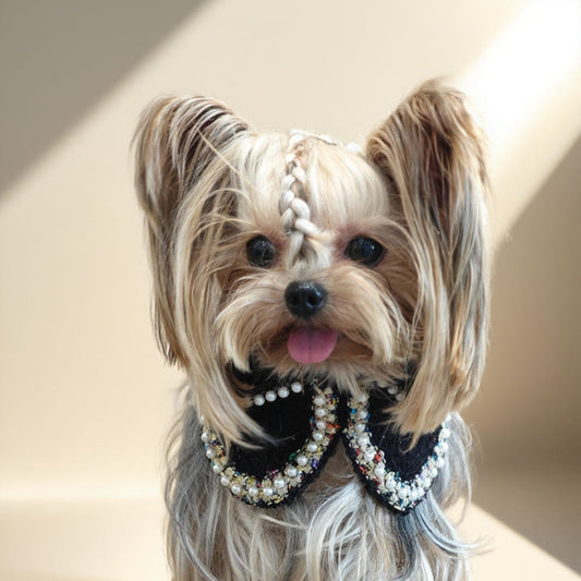 Jacqueline – Black & White Pearl Dog Jacket | Chic Formal Look