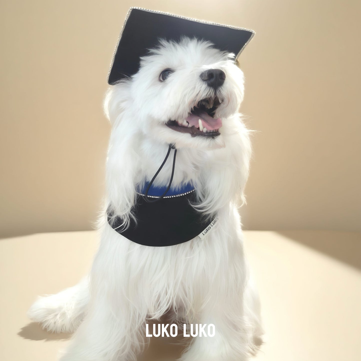 Valedictory – Red, Blue& Yellow Dog Graduation Gown & Cape | Elegant Outfit