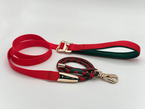 Harper – Premium Leash & Collar Set for Dogs & Cats | Durable & Adjustable