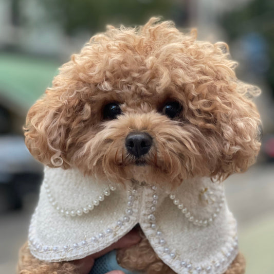 Jacqueline – Black/White Pearl Pet Jacket for Dogs & Cats