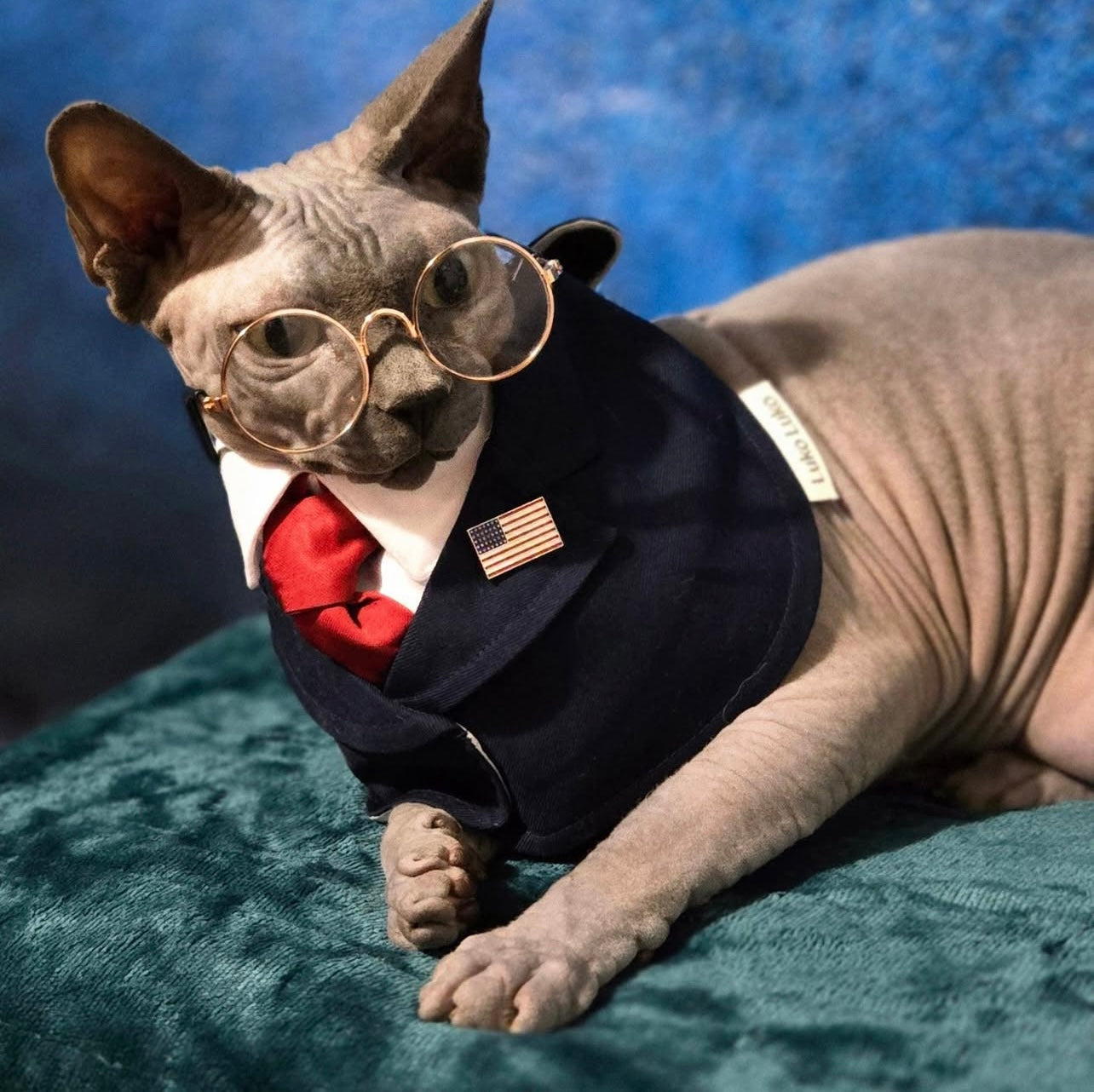 President – Red Tie Pet Suit for Dogs & Cats | Formal Wear