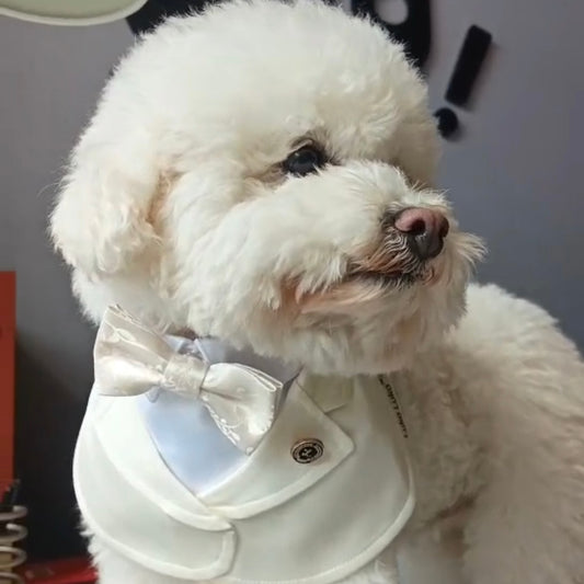 Oxford – Bowtie Suit for Dogs & Cats | Elegant Formal Pet Outfit