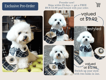 Sophie-French Elegance Cape Bandana with Optional Brooches