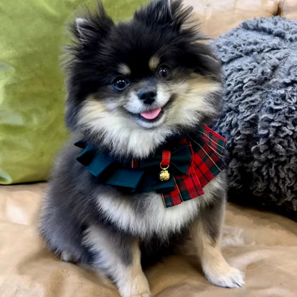Black Pomeranian wearing Christmas dress, red and green plaid with bowtie and bell, handmade festive pet clothing Noelle.