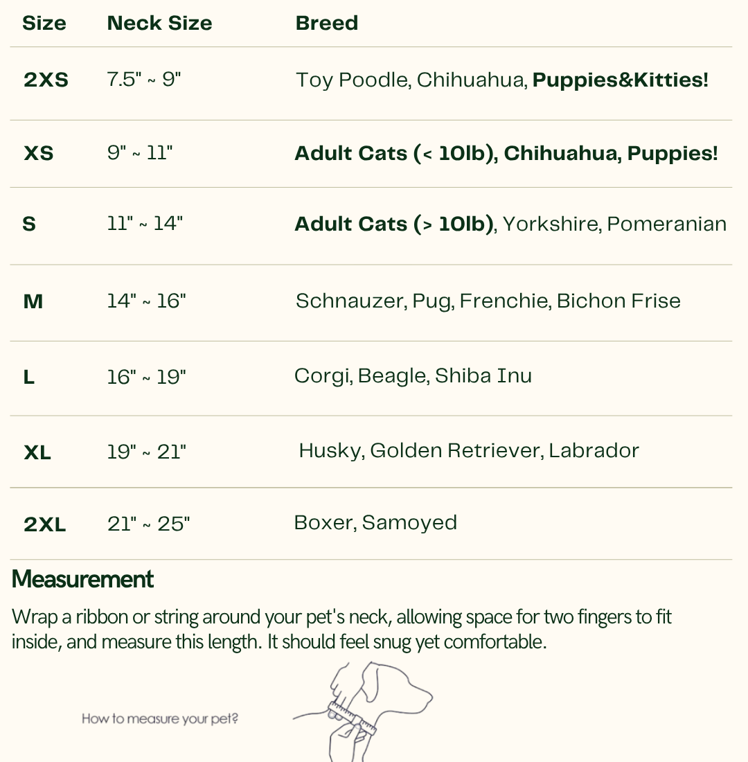 Noelle – Red & Green Plaid Dog Dress | Christmas Holiday Style