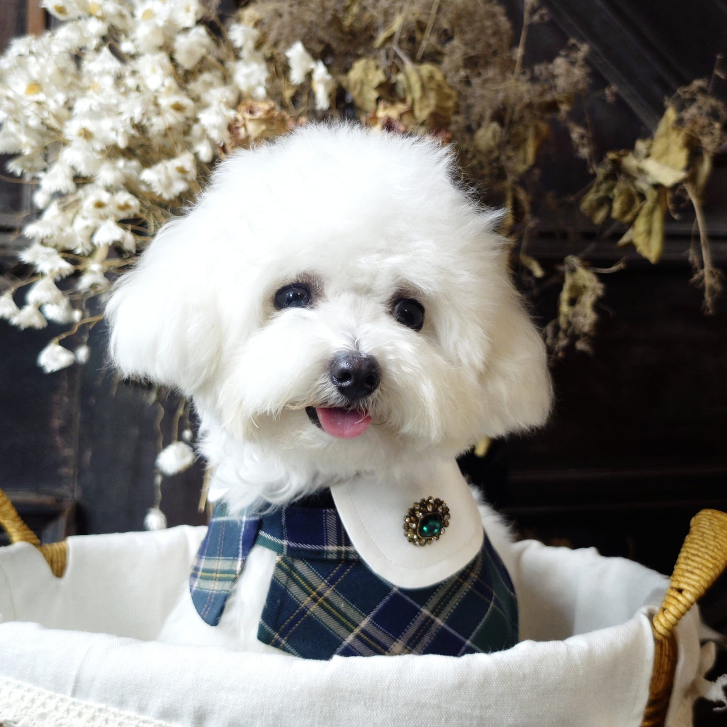Evelyn - Green Plaid Dog Cape | Classic Elegance & Versatile Charm