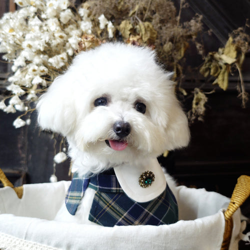 Evelyn - Green Plaid Dog Cape | Classic Elegance & Versatile Charm