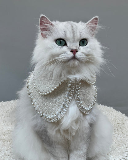 A luxurious white Persian cat adorned in a white Jacqueline pet bandana, embellished with pearls, capturing an elegant and sophisticated look perfect for upscale pet fashion.