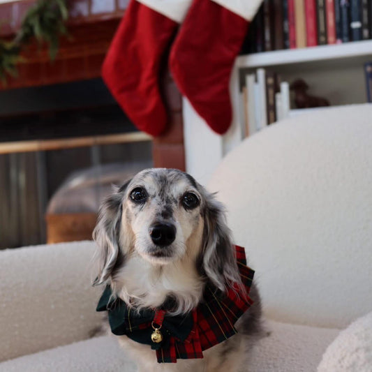 dog cat Christmas red and green plaid dress with bell and bowtie, festive handmade pet outfit.